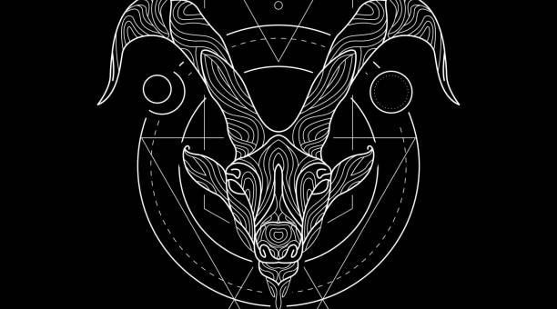 让摩羯座变温柔的星座(和摩羯座互相吸引的星座)