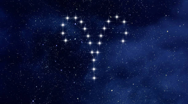狮子女上升星座双子座的爱情(双子女上升狮子座是什么性格)插图1