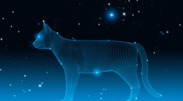 星座不求人暴富支招(星座不求人谁最怂)